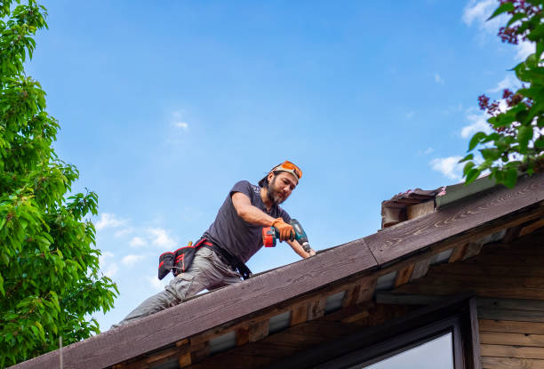 Best Roof Moss and Algae Removal  in Erie, CO