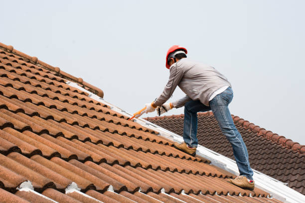 Best Skylights  in Erie, CO