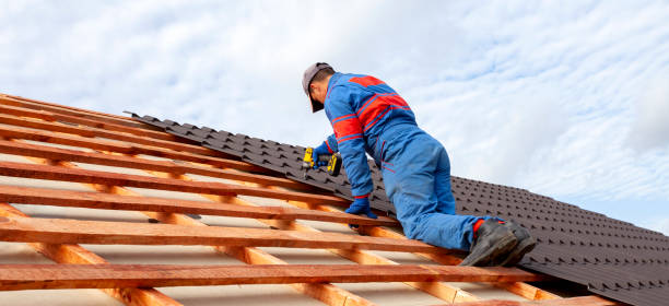 Best Roof Maintenance and Cleaning  in Erie, CO