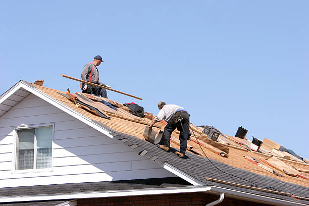 Best Roof Installation  in Erie, CO